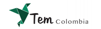 Logo TEM Colombia